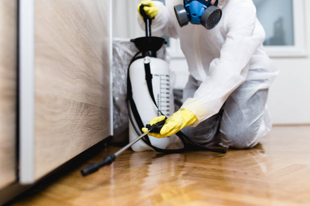 Reliable Longview, WA Pest Control Solutions