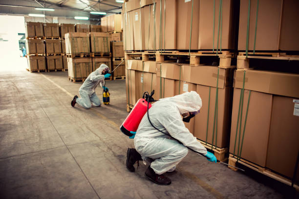 Best Pest Inspection Near Me  in Longview, WA