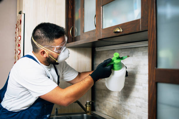 Best Affordable Pest Control Services  in Longview, WA