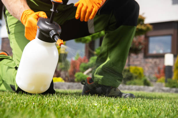 Best Best Pest Control Near Me  in Longview, WA