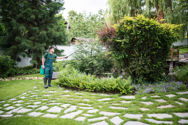Best Cockroach Control Services  in Longview, WA
