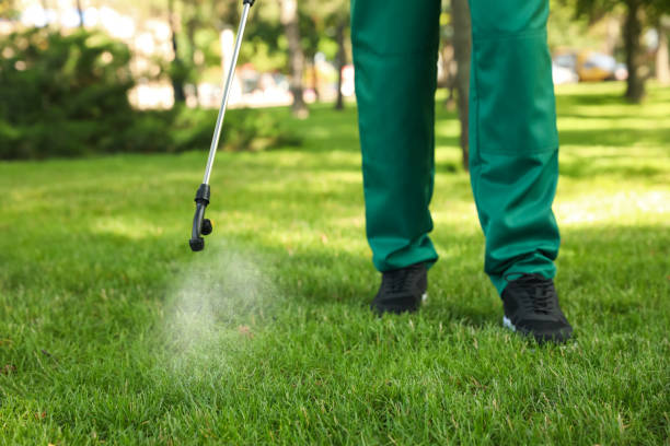 Best Commercial Pest Control Services  in Longview, WA