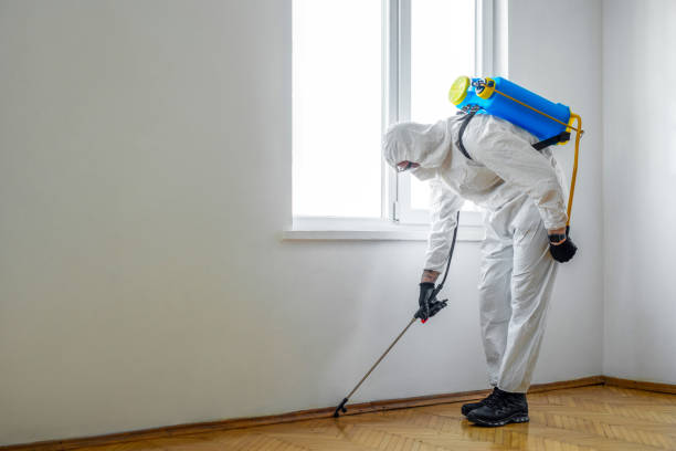 Best Pest Prevention Services  in Longview, WA