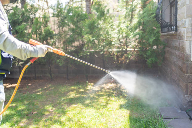 Best Exterminator Services  in Longview, WA