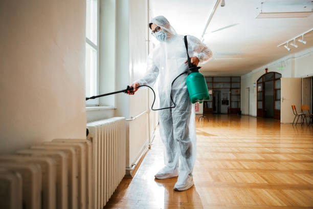 Best Affordable Pest Control Services  in Longview, WA