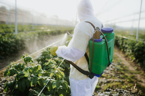 Best Mosquito Control Services  in Longview, WA
